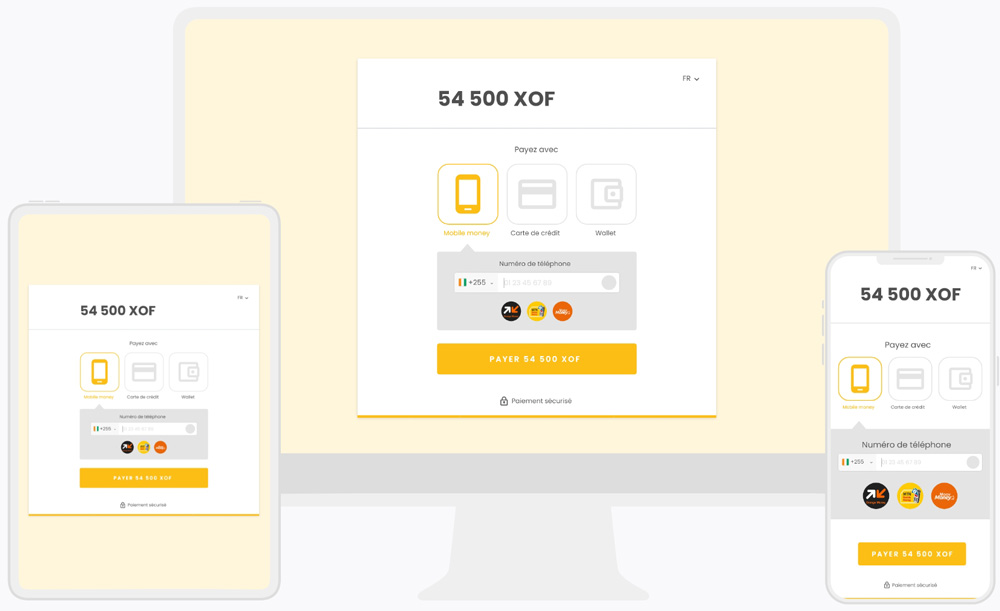DV PASS checkout DV PASS checkout customer's screens