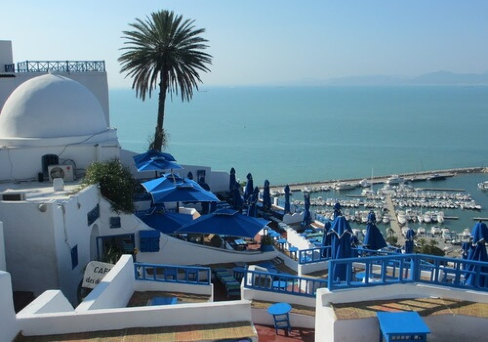Tunis City